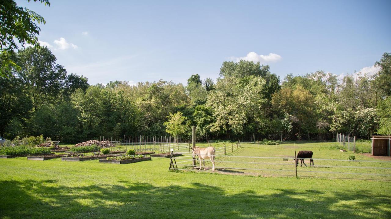 Villa La Collina Delle Mignole Moruzzo Exterior foto